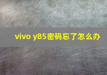 vivo y85密码忘了怎么办